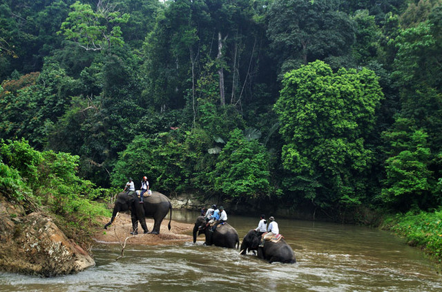 Taman Nasional Bukit Barisan Selatan