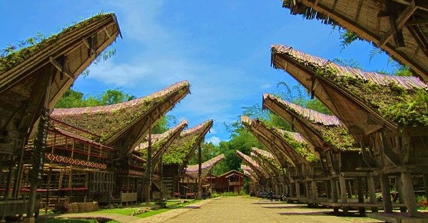 10 Destinasi Wisata Yang Ada di Tana Toraja