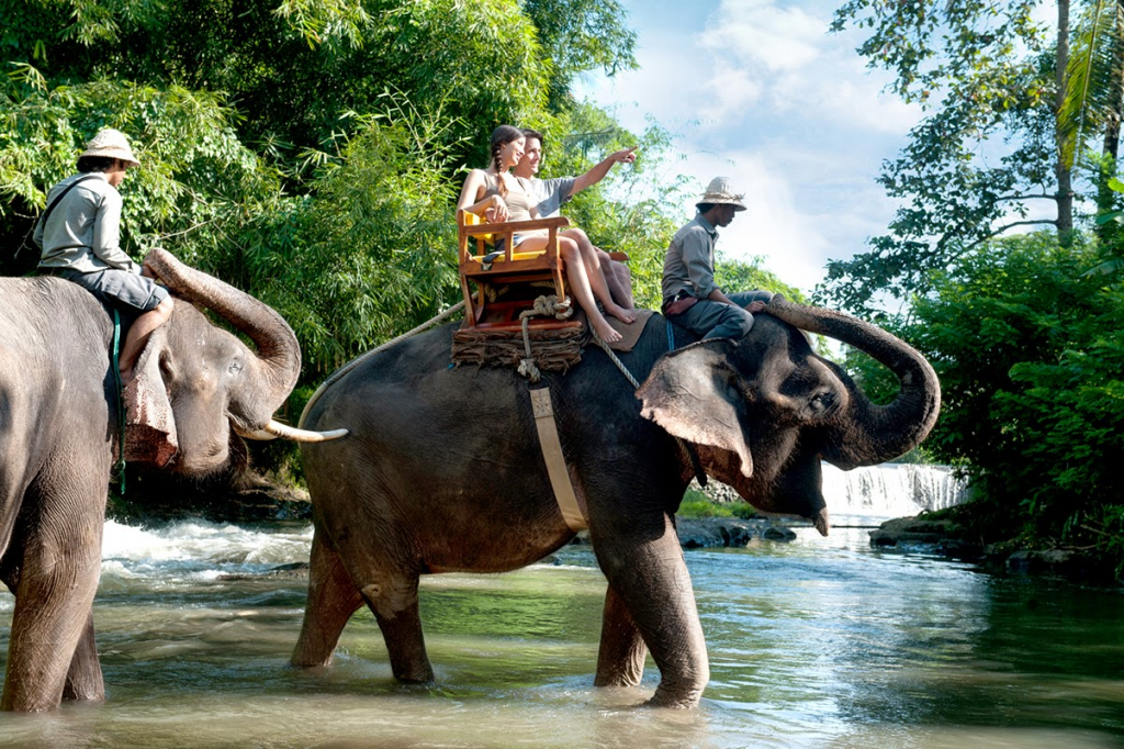 Wisata Taman Nasional Way Kambas
