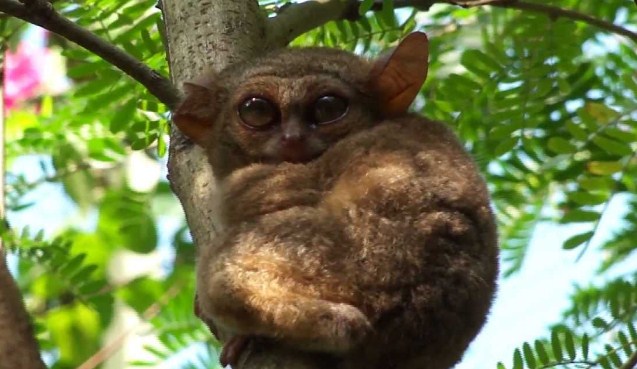 Taman Wisata Tandurusa